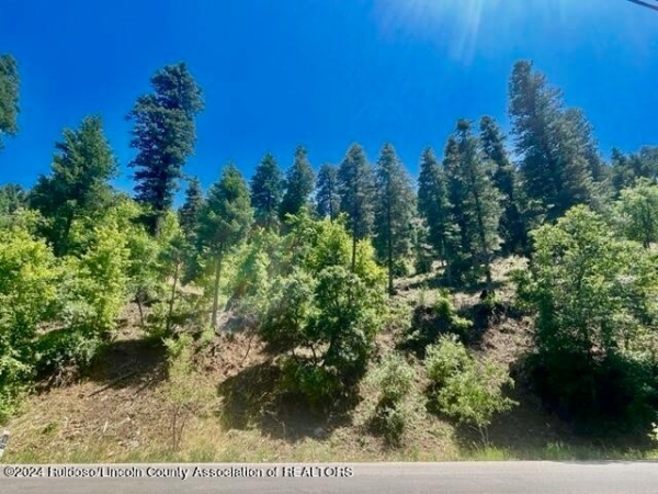 Listing Image #2 - Land for sale at 1025 Main Road, Ruidoso NM 88345