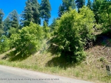 Listing Image #3 - Land for sale at 1025 Main Road, Ruidoso NM 88345