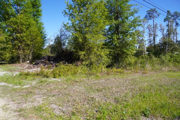 Listing Image #1 - Land for sale at 6902 Highway 2301, Panama City FL 32404