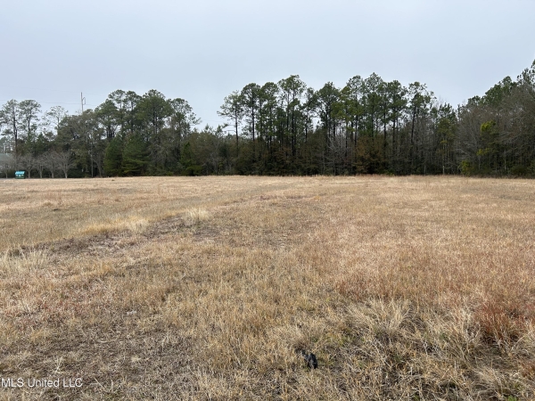 Listing Image #1 - Land for sale at 0 Denny Avenue, Pascagoula MS 39581