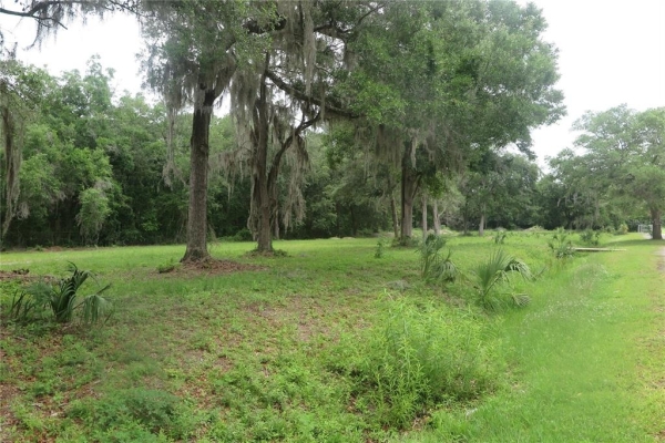 Listing Image #2 - Land for sale at TBD NW 2nd Street, Gainesville FL 32609