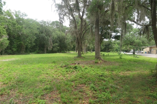 Listing Image #3 - Land for sale at TBD NW 2nd Street, Gainesville FL 32609