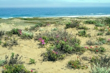 Land for sale in Fort Bragg, CA
