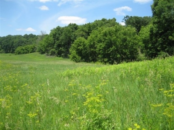 Listing Image #1 - Land for sale at 4731 Miess Rd, Dodgeville WI 53533