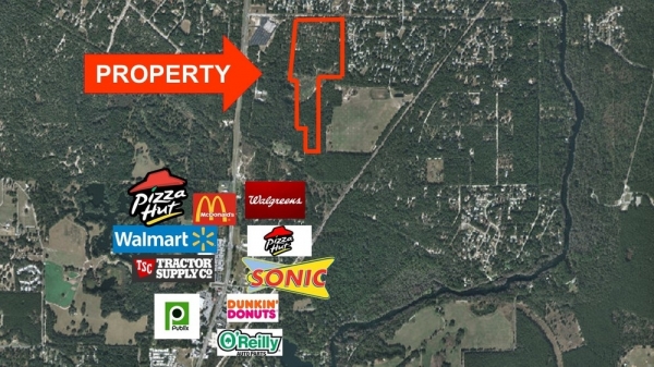 Listing Image #1 - Land for sale at SW 99th Place, Dunnellon FL 34432